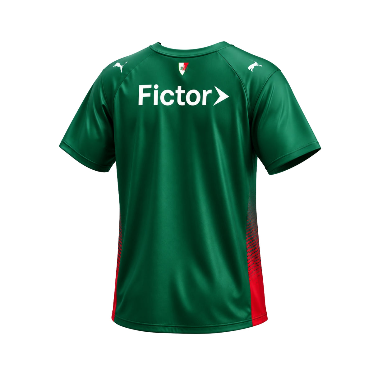 Palmeiras Domicile 26/27