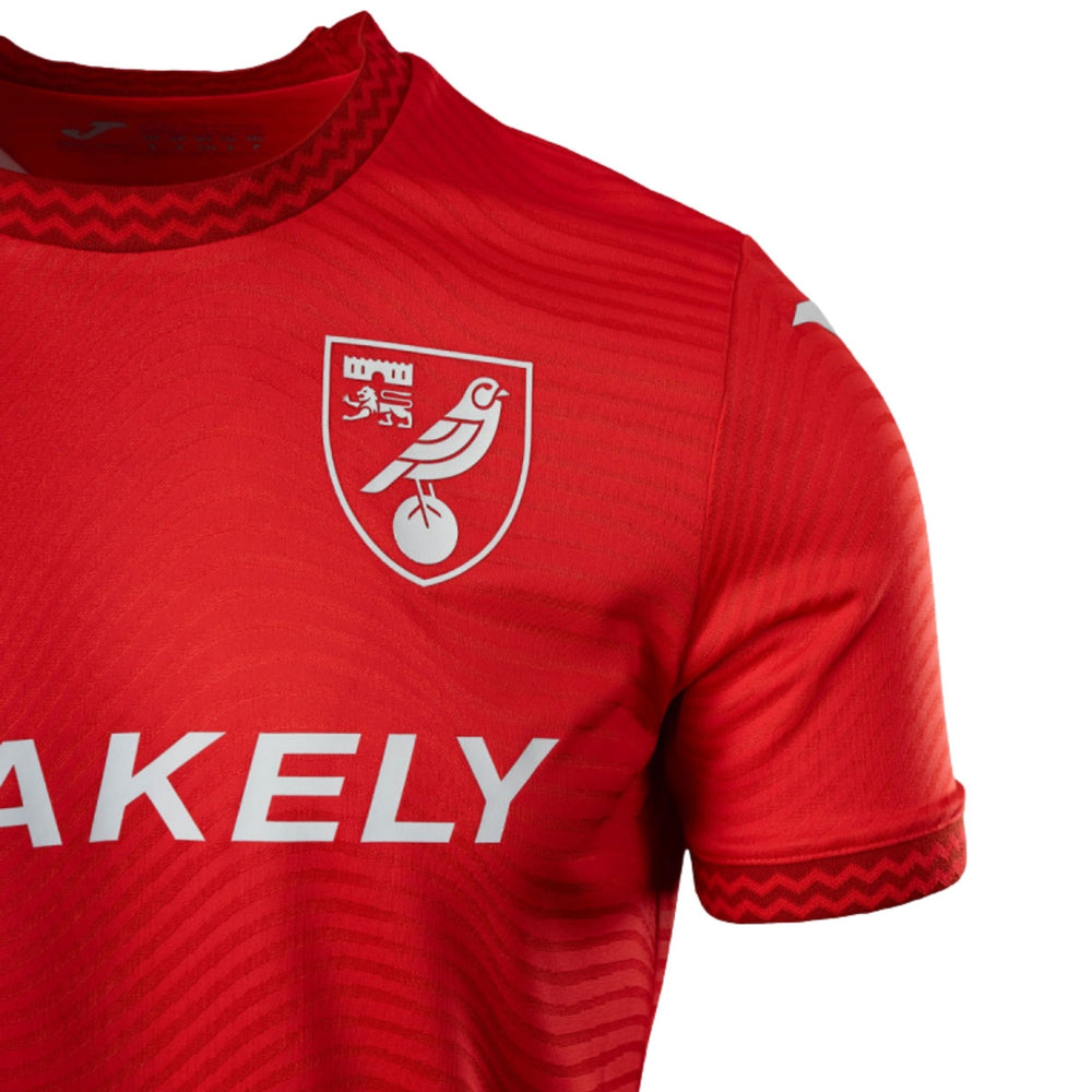 Norwich City Gardiens de But 26/27