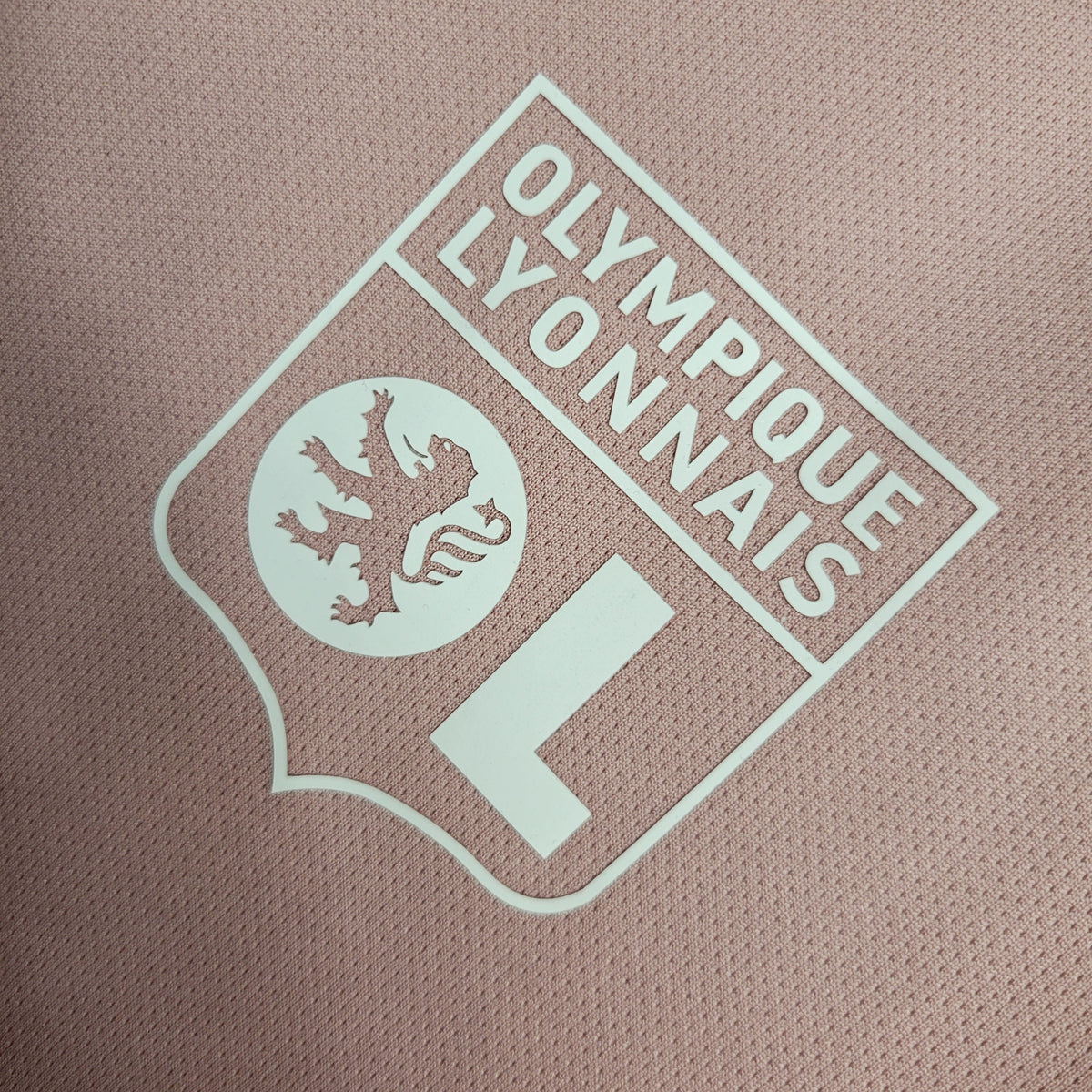 Olympique Lyonnais Entraînement 23/24 - Porté