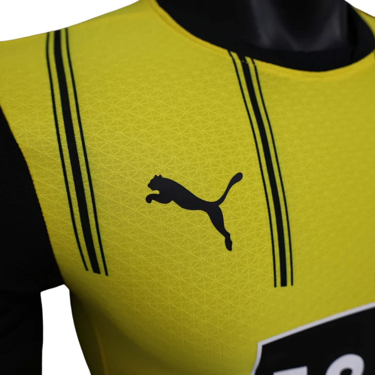 Borussia Dortmund Domicile 24/25 - Porté
