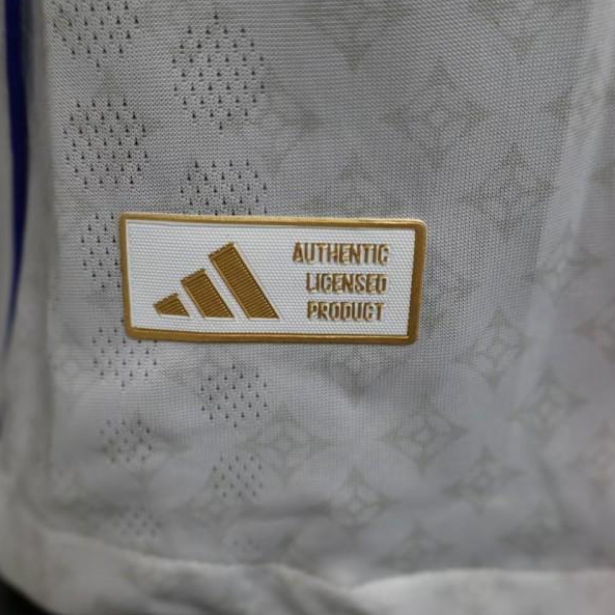 Olympique Lyonnais Domicile 25/26 - Porté