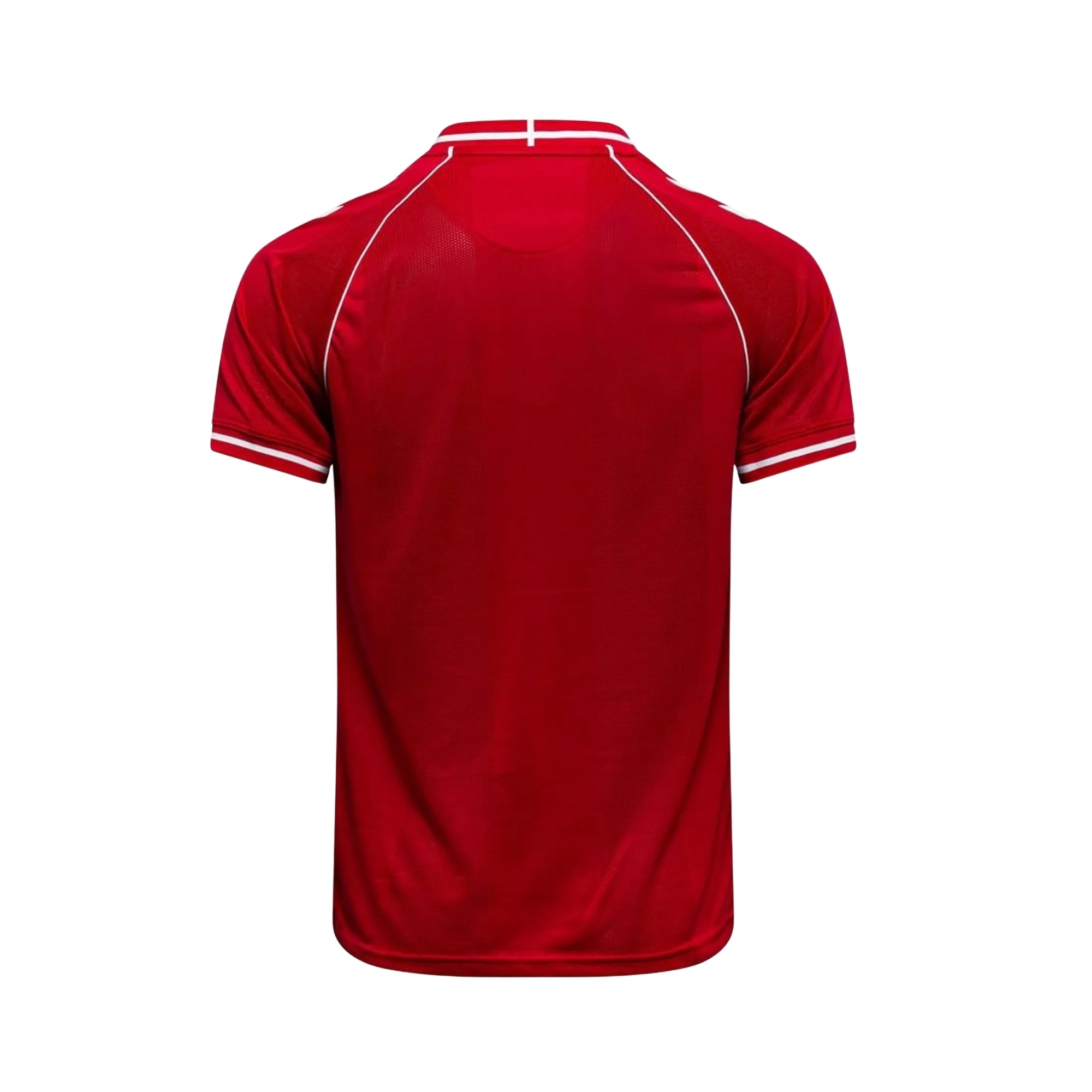 Danemark Domicile 26/27 - Coupe du Monde 2026
