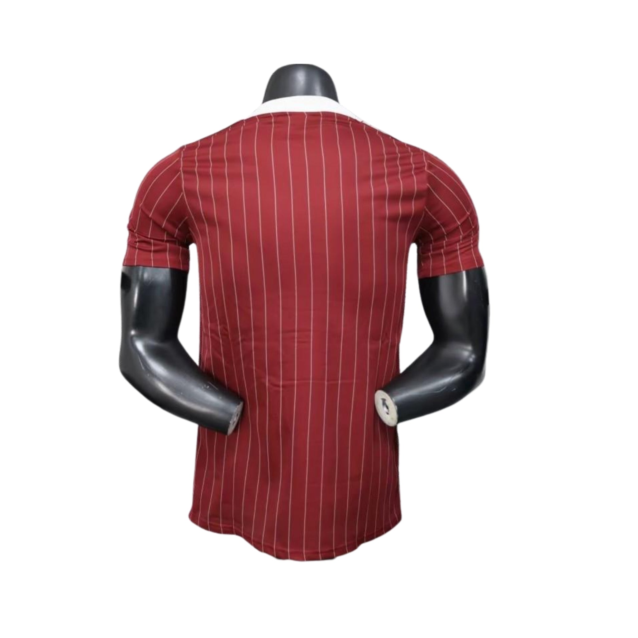 Ajax Édition Spéciale 25/26 - Version Joueur