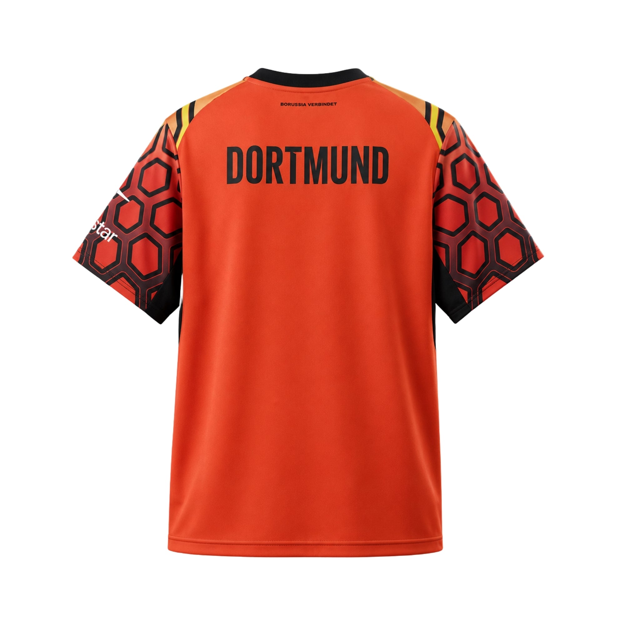 Borussia Dortmund Gardiens de But 26/27