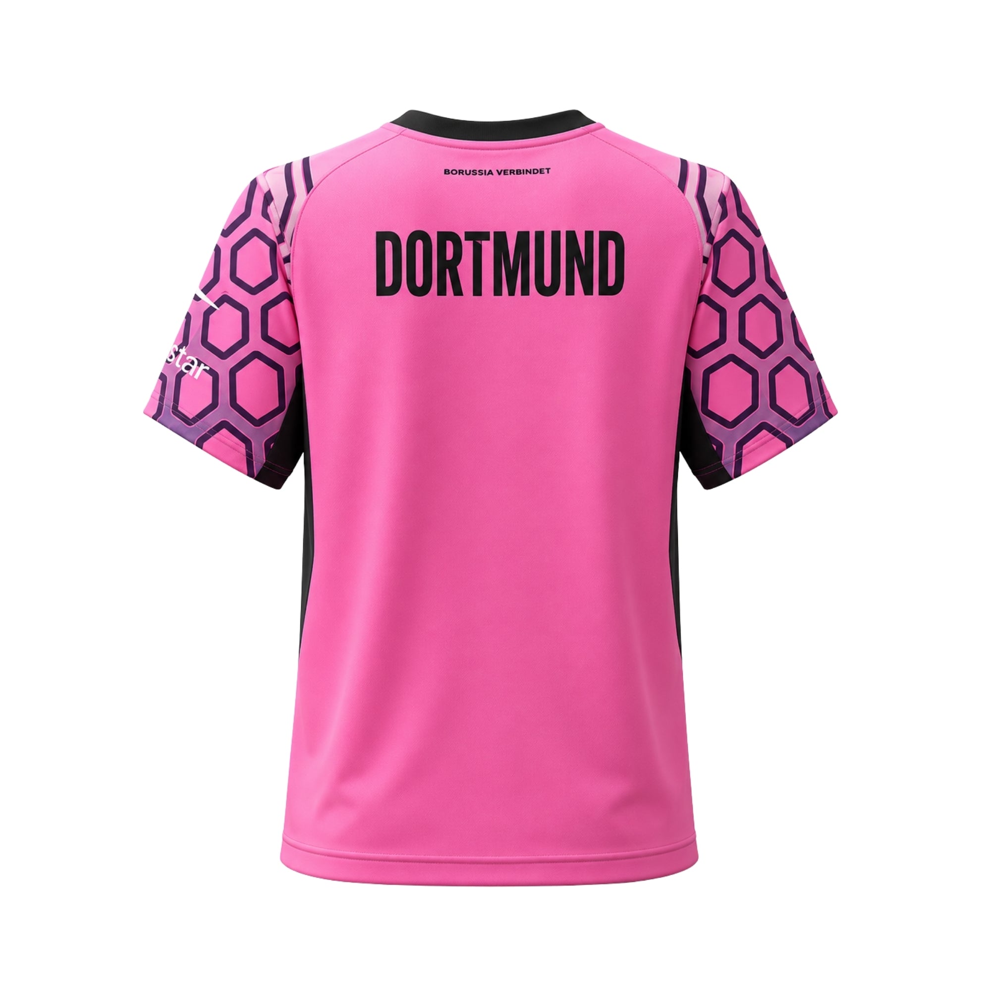 Borussia Dortmund Gardiens de But 26/27