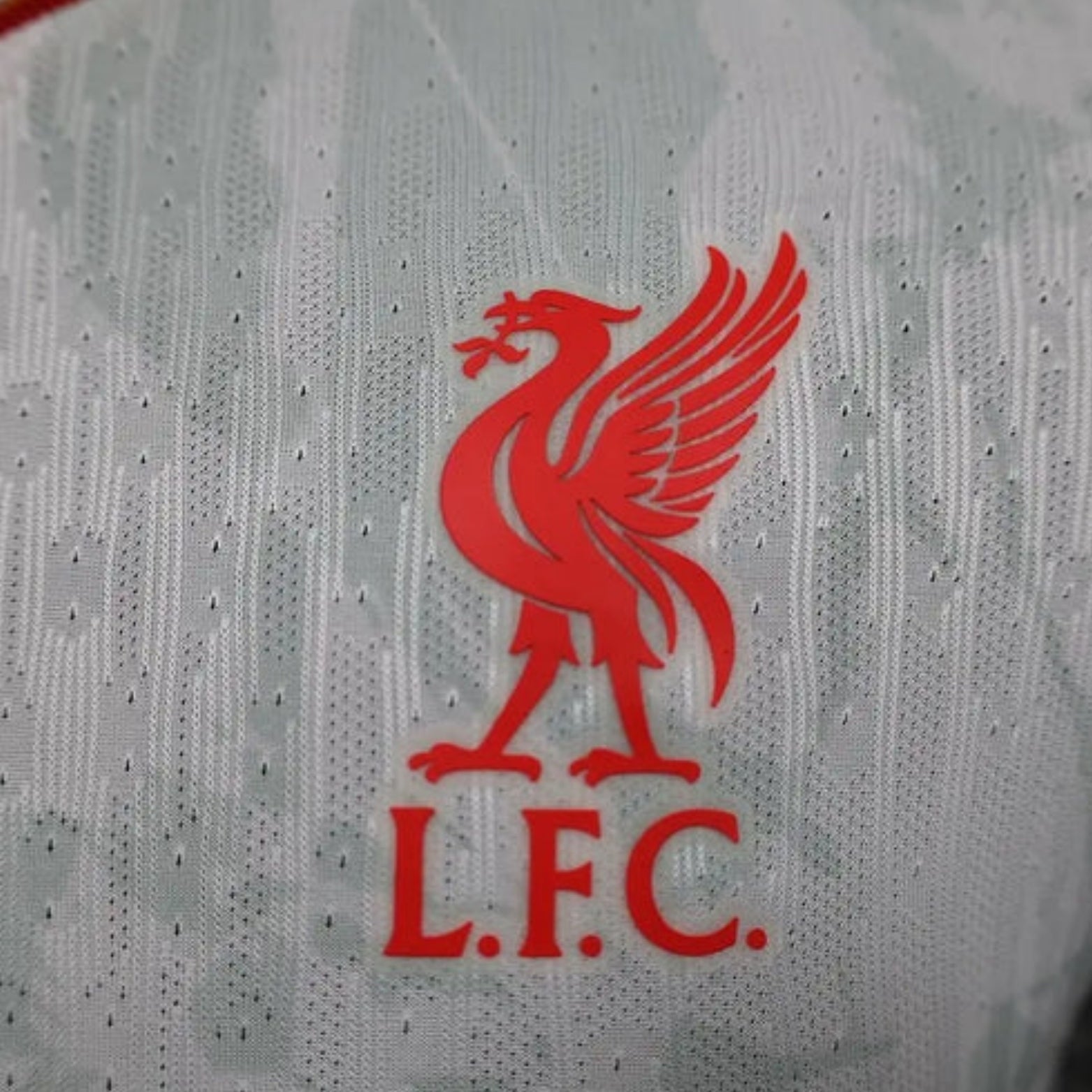 Liverpool Troisième 24/25 - Porté