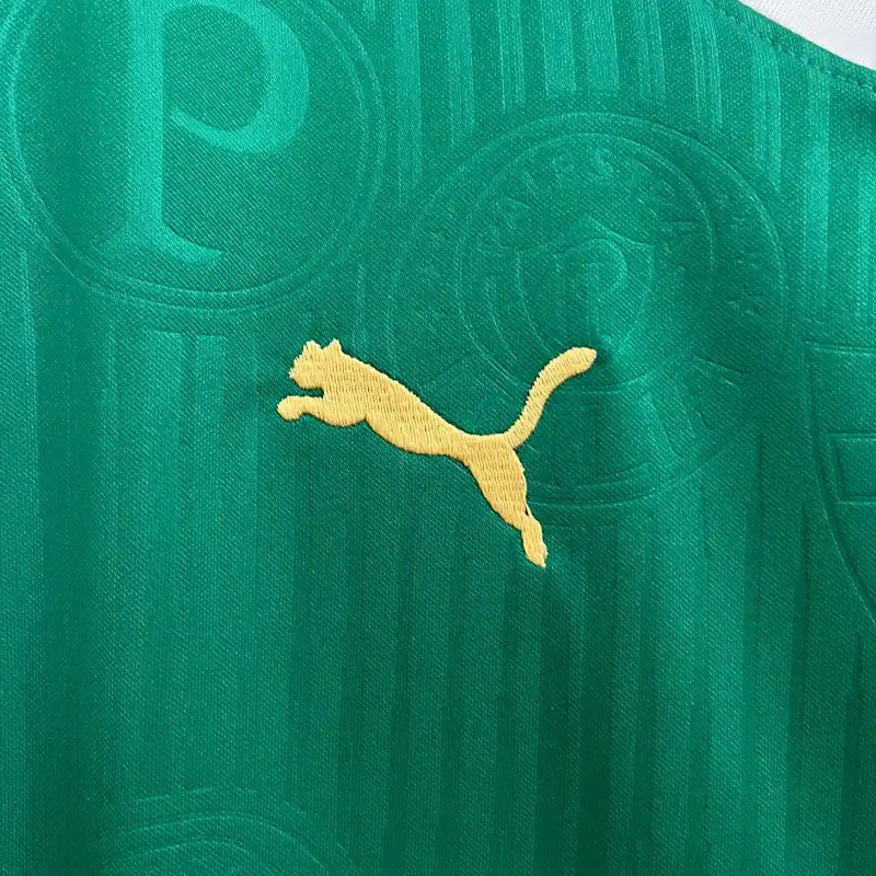 Palmeiras Entraînement 23/24 - Manches Cava - Porté