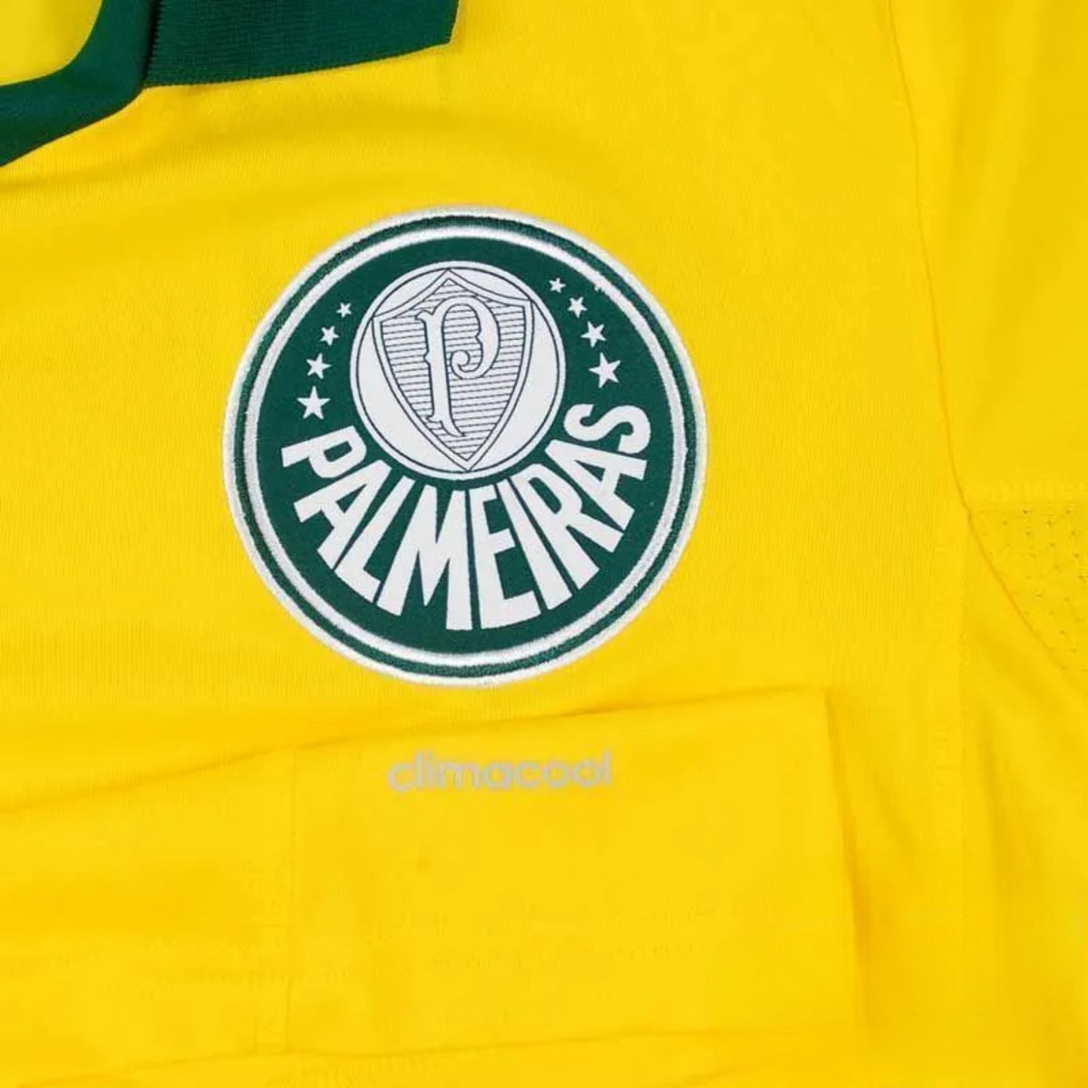 Palmeiras Extérieur 14/15 - Détail