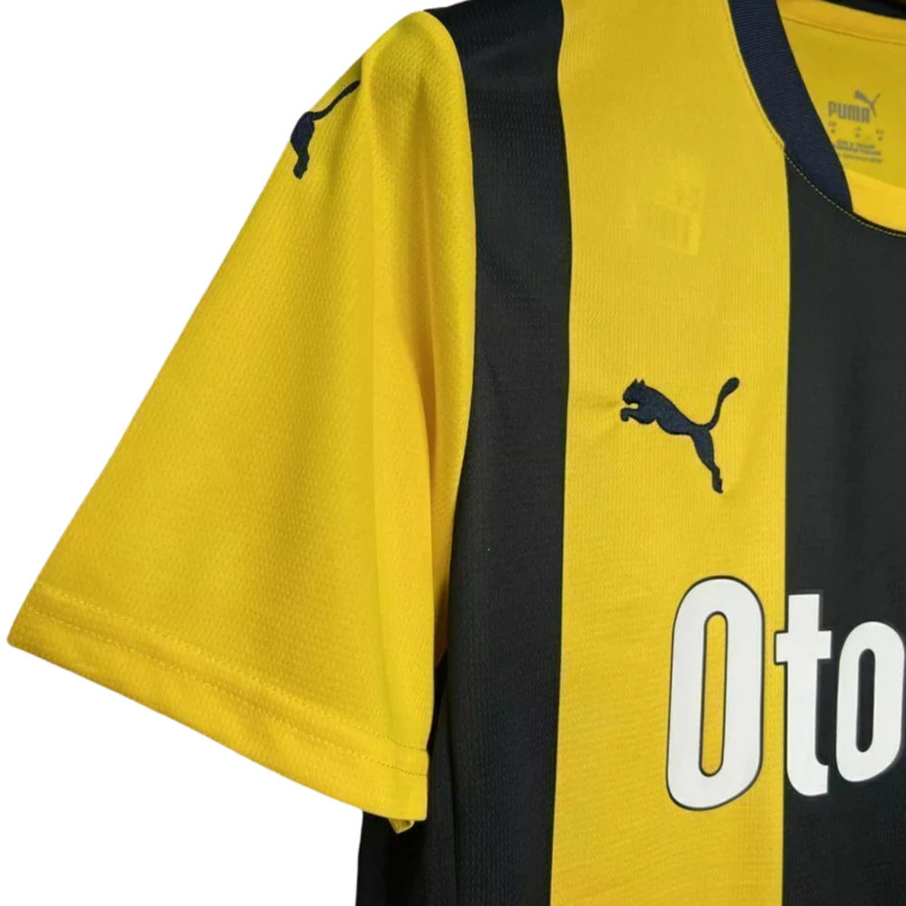 Fenerbahce Local 24/25
