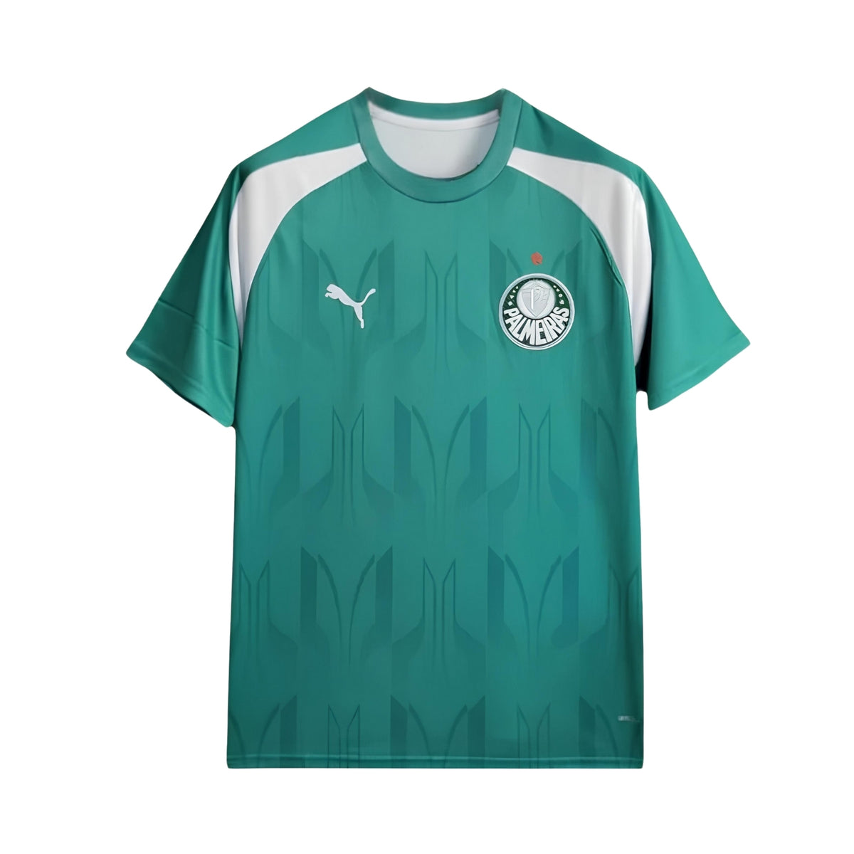 Palmeiras Entraînement 24/25 - Vue de face