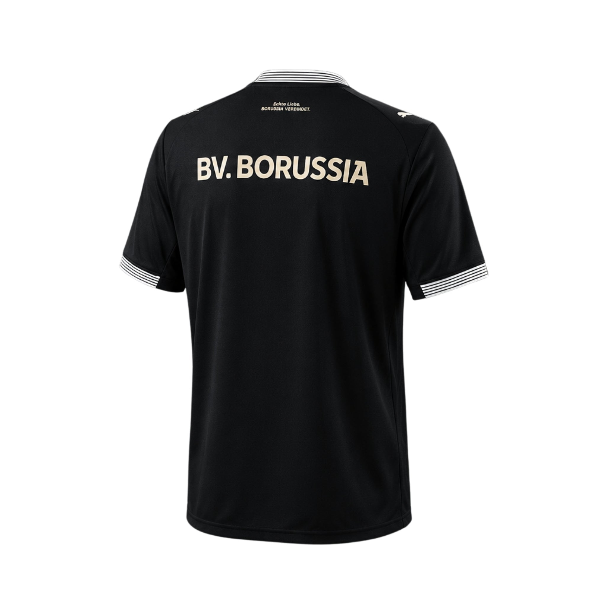 Borussia Dortmund Édition Spéciale 26/27