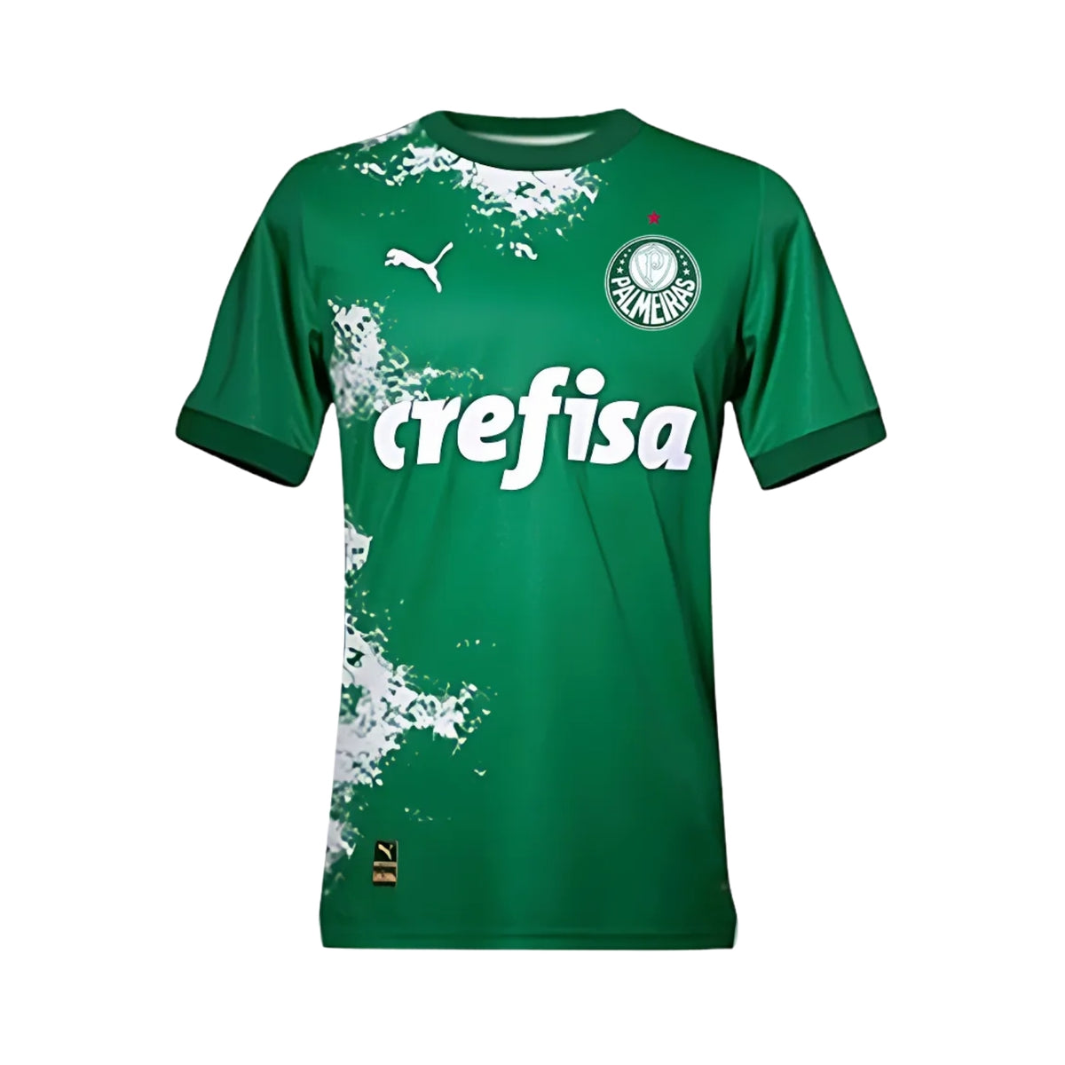 Palmeiras Édition Speciale 24/25 - Vue de face