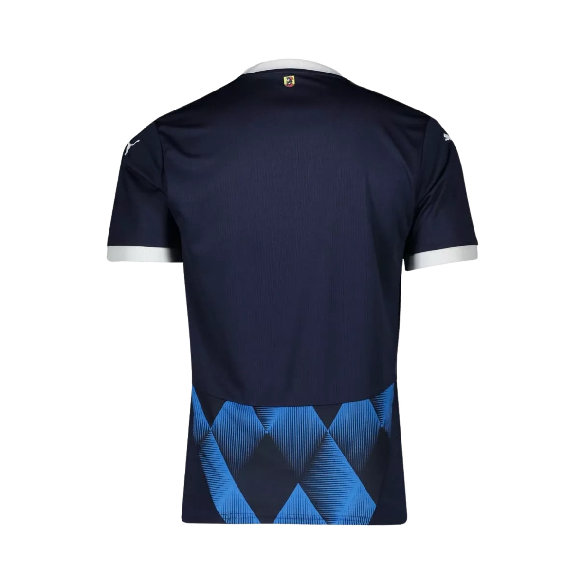 Heidenheim Away 24/25 - Back view