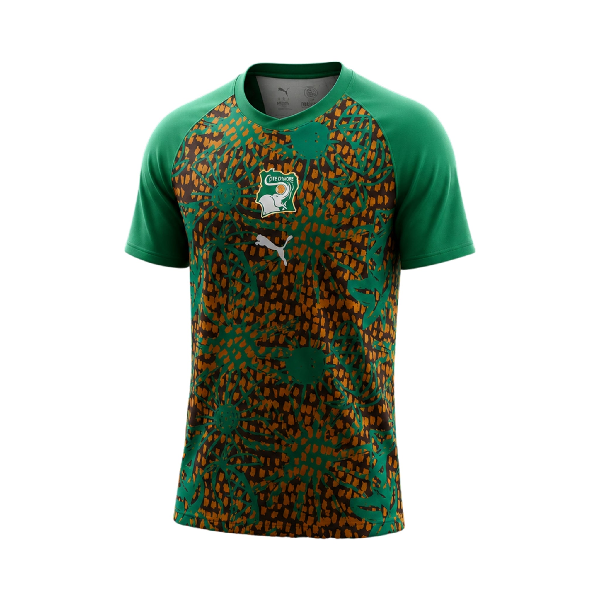 Costa do Marfim Avant-Match 26/27 - Coupe du Monde 2026
