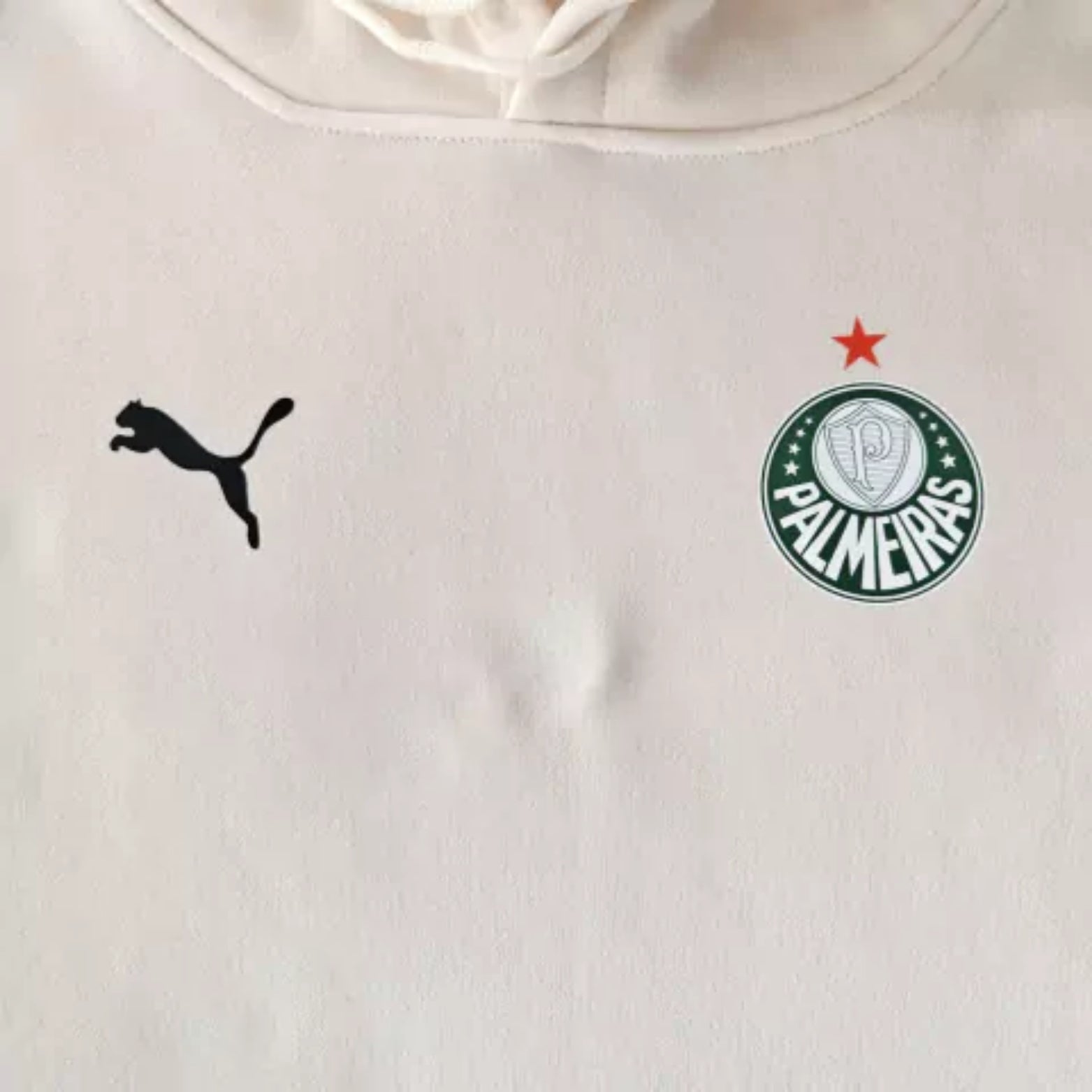 Palmeiras 25/26 - Sweat