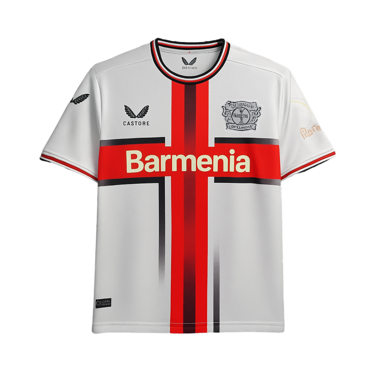 Bayer 04 Leverkusen Special Edition 24/25 - Front view