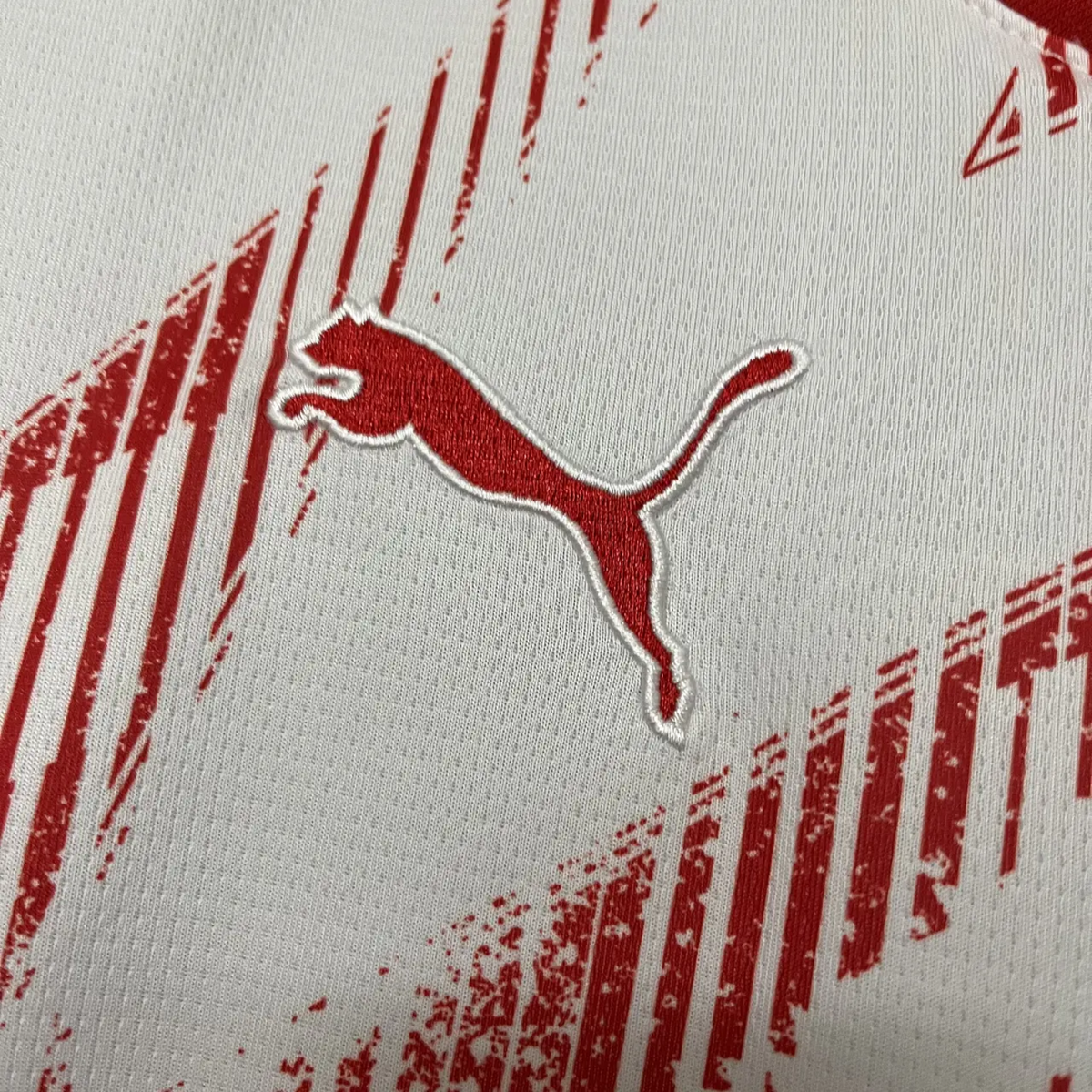 Leipzig Home 24/25 - Close-up