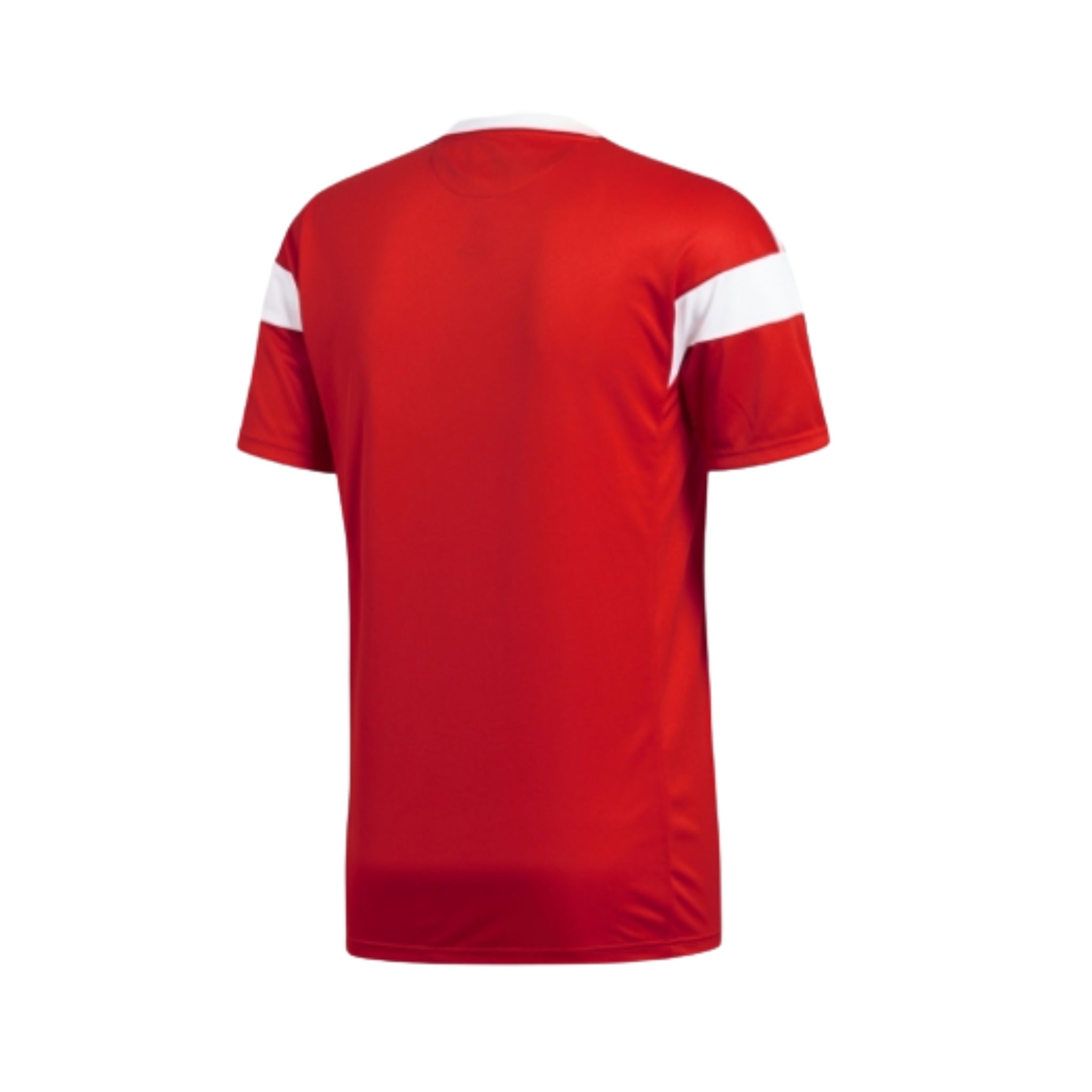 Russia Domicile 18/19