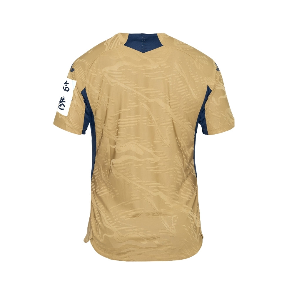 Hoffenheim Gardiens de But 25/26