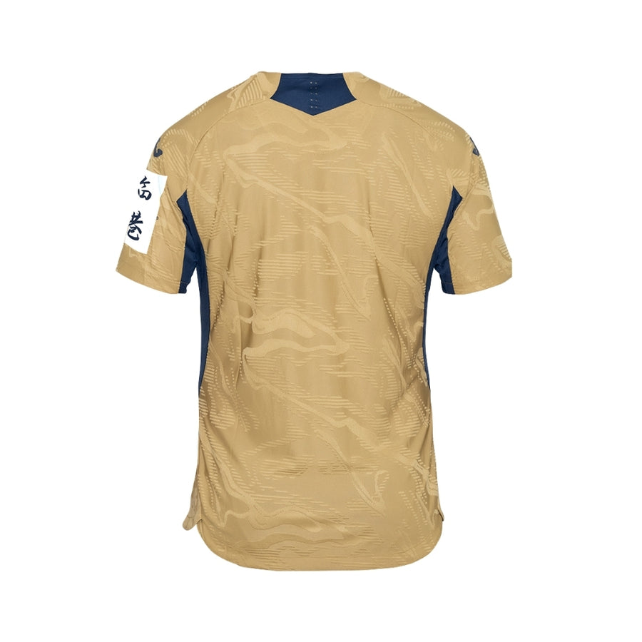 Hoffenheim Gardiens de But 25/26