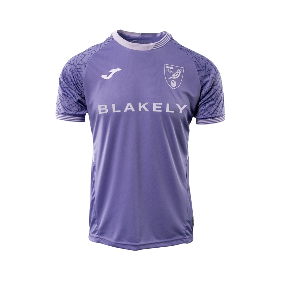 Norwich Gardiens de But 25/26