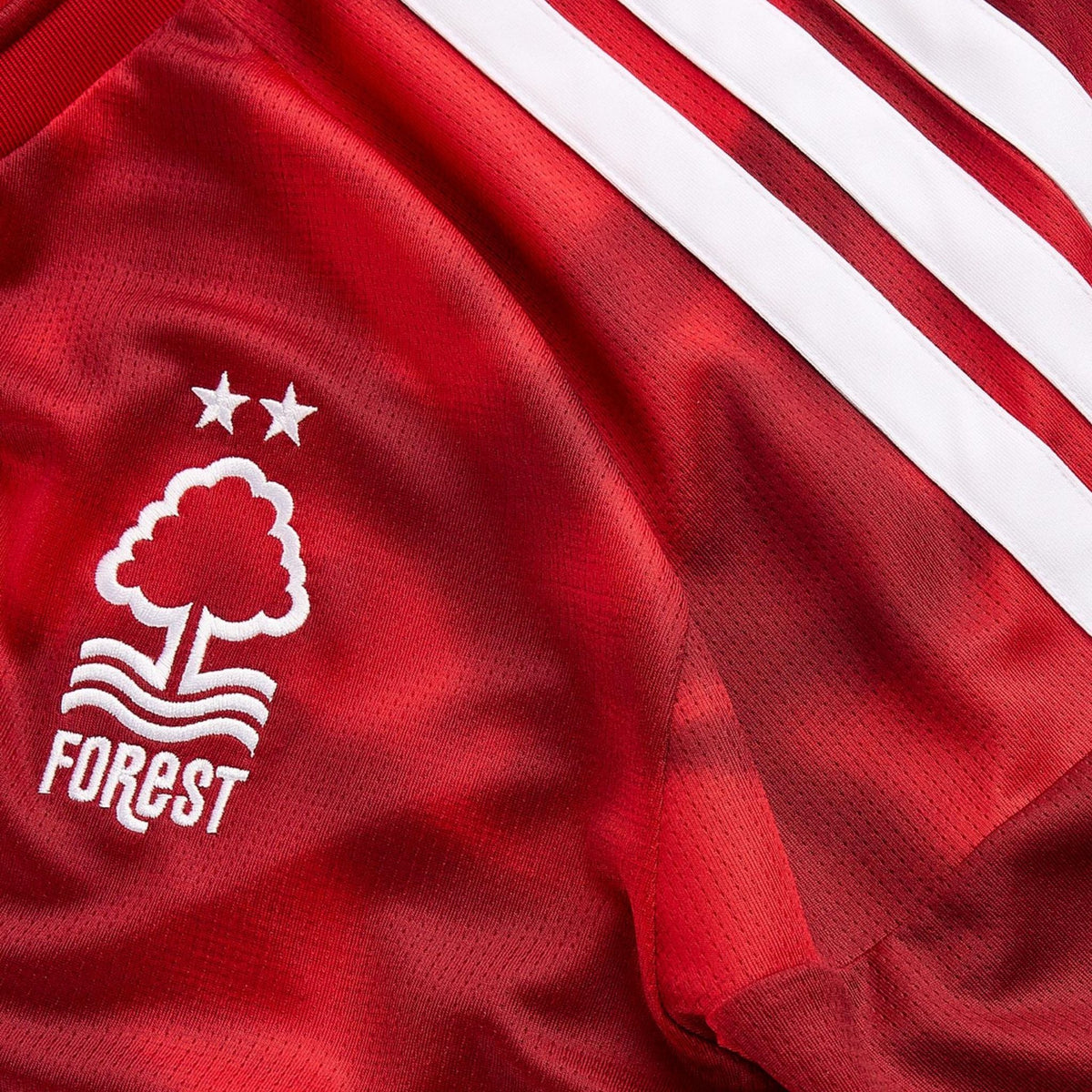 Nottingham Forest Domicile 26/27