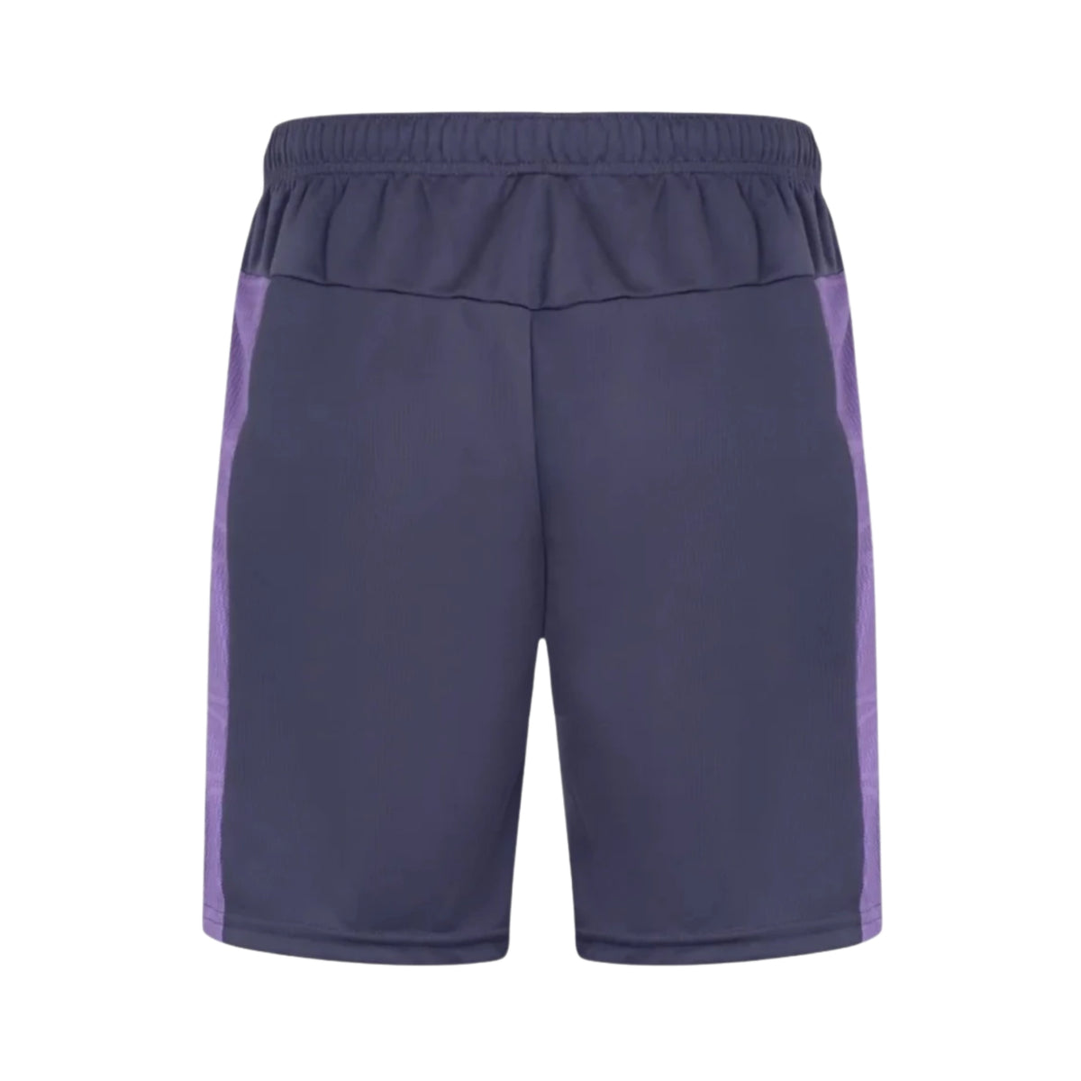Botafogo Training Shorts 25/26 - Back view