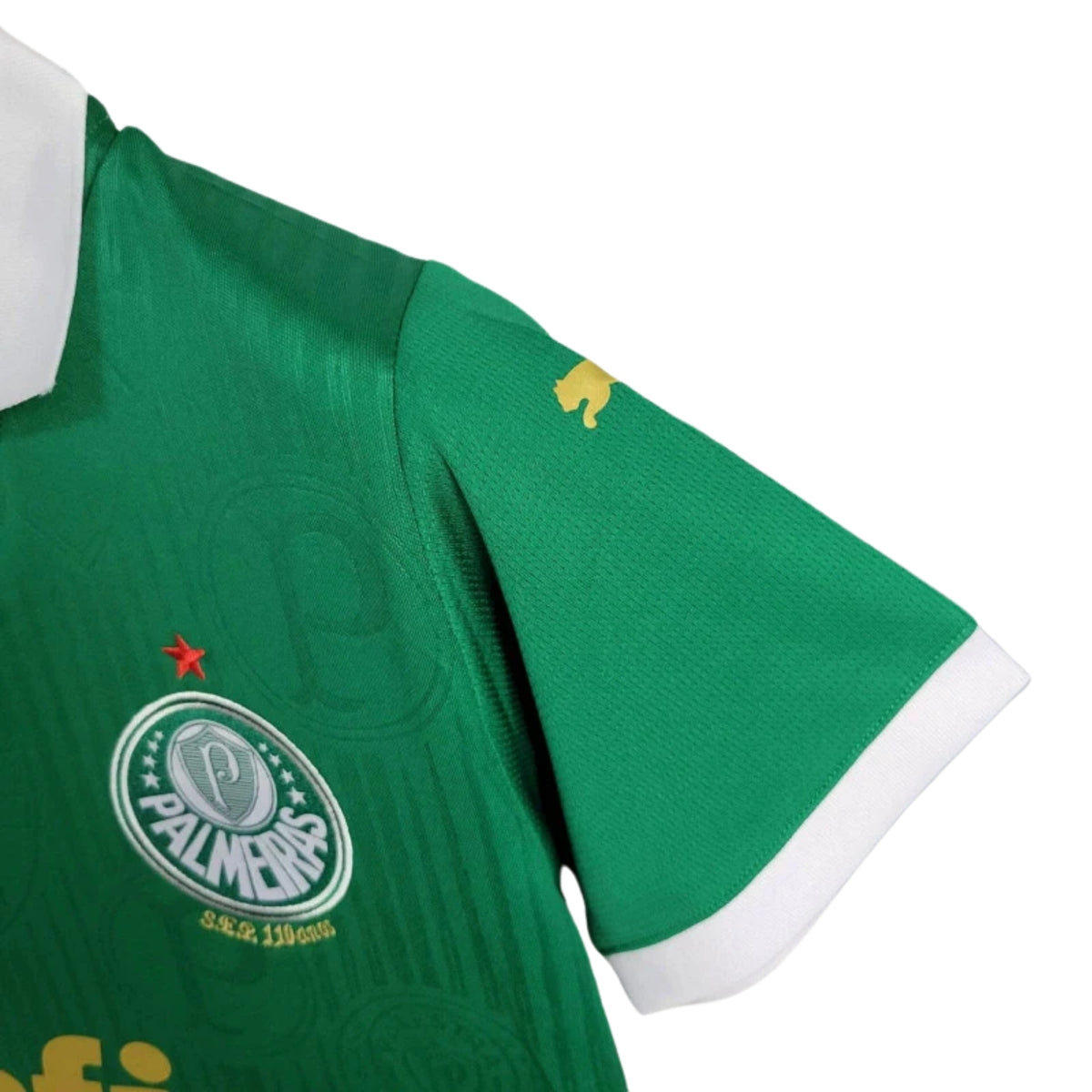 Palmeiras Domicile 24/25 - Détail