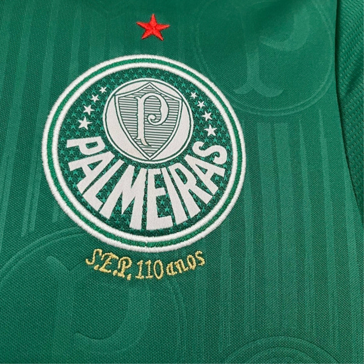 Palmeiras Domicile 24/25 - Vue rapprochée
