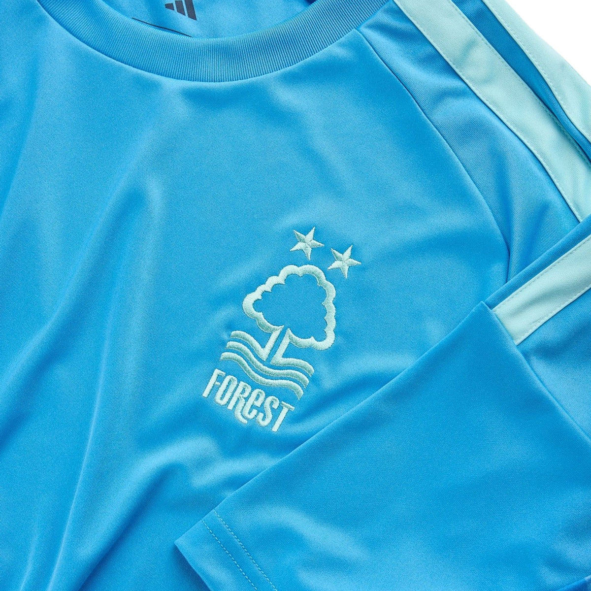 Nottingham Forest Gardiens de But 26/27