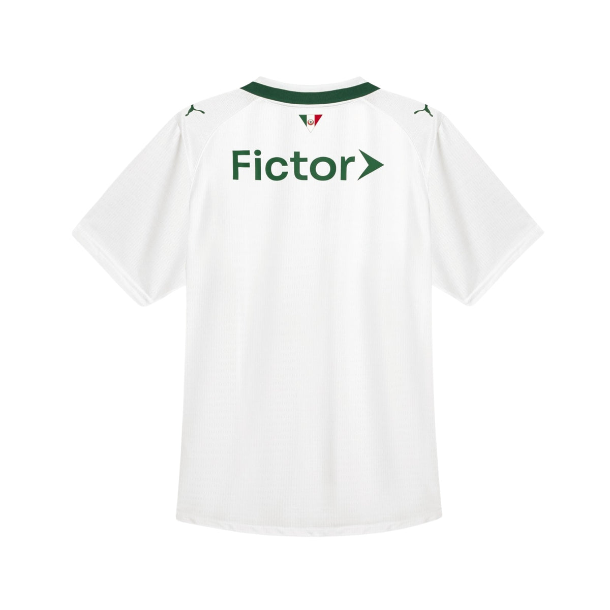 Palmeiras Extérieur 26/27 - Détail