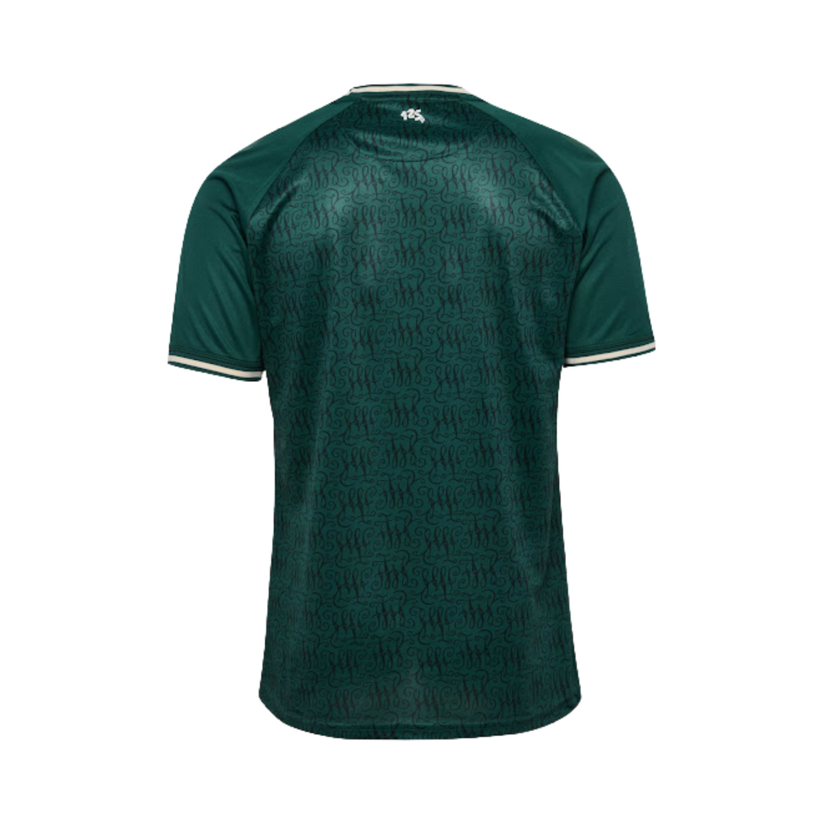 Werder Bremen Special Edition 24/25 - Back view