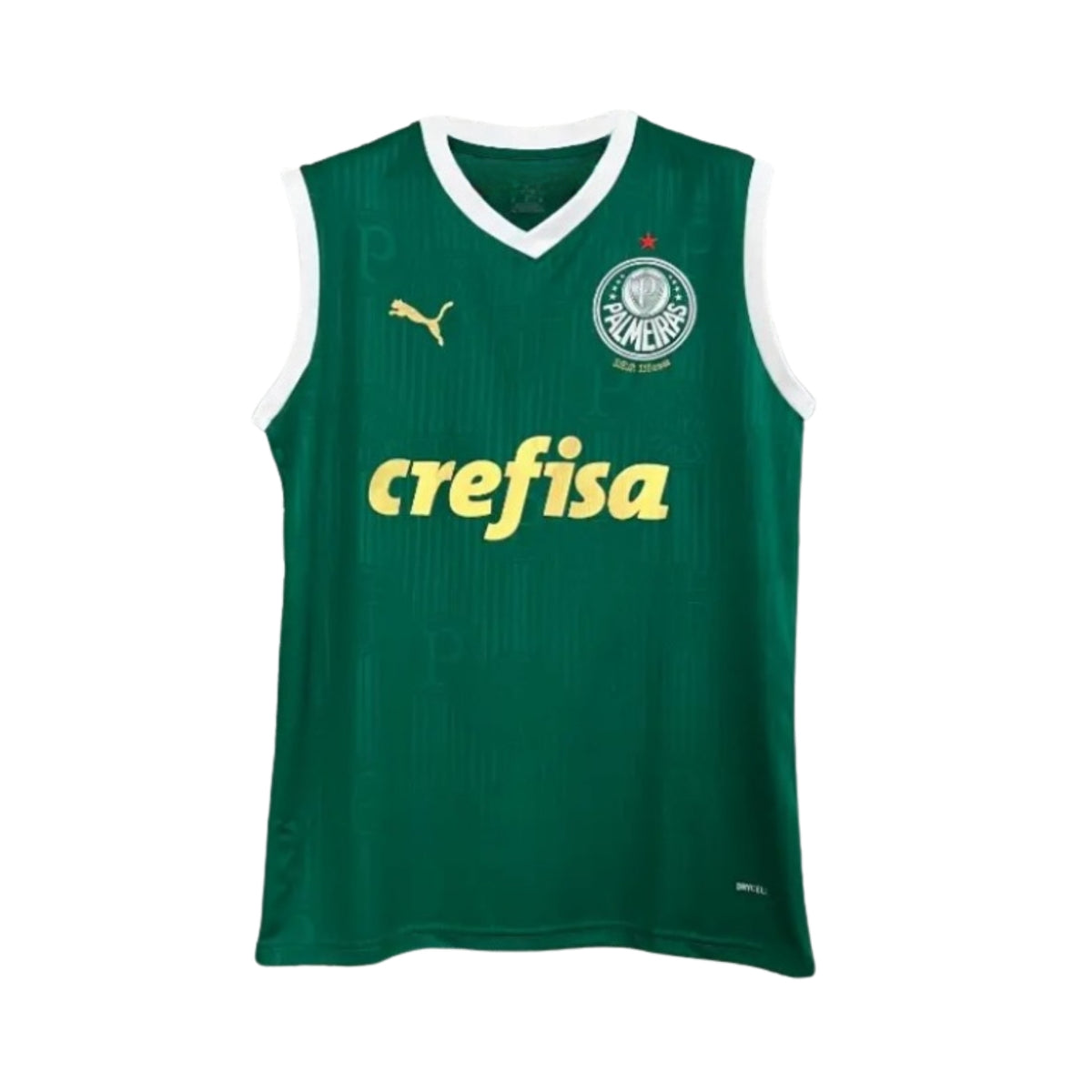 Palmeiras Entraînement 23/24 - Manches Cava - Vue de face