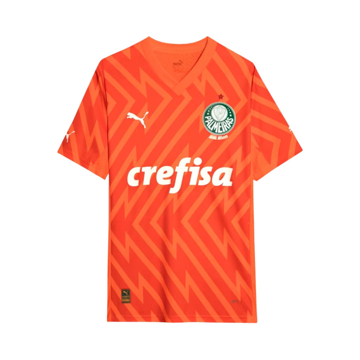 Palmeiras Gardiens de But 24/25 - Orange