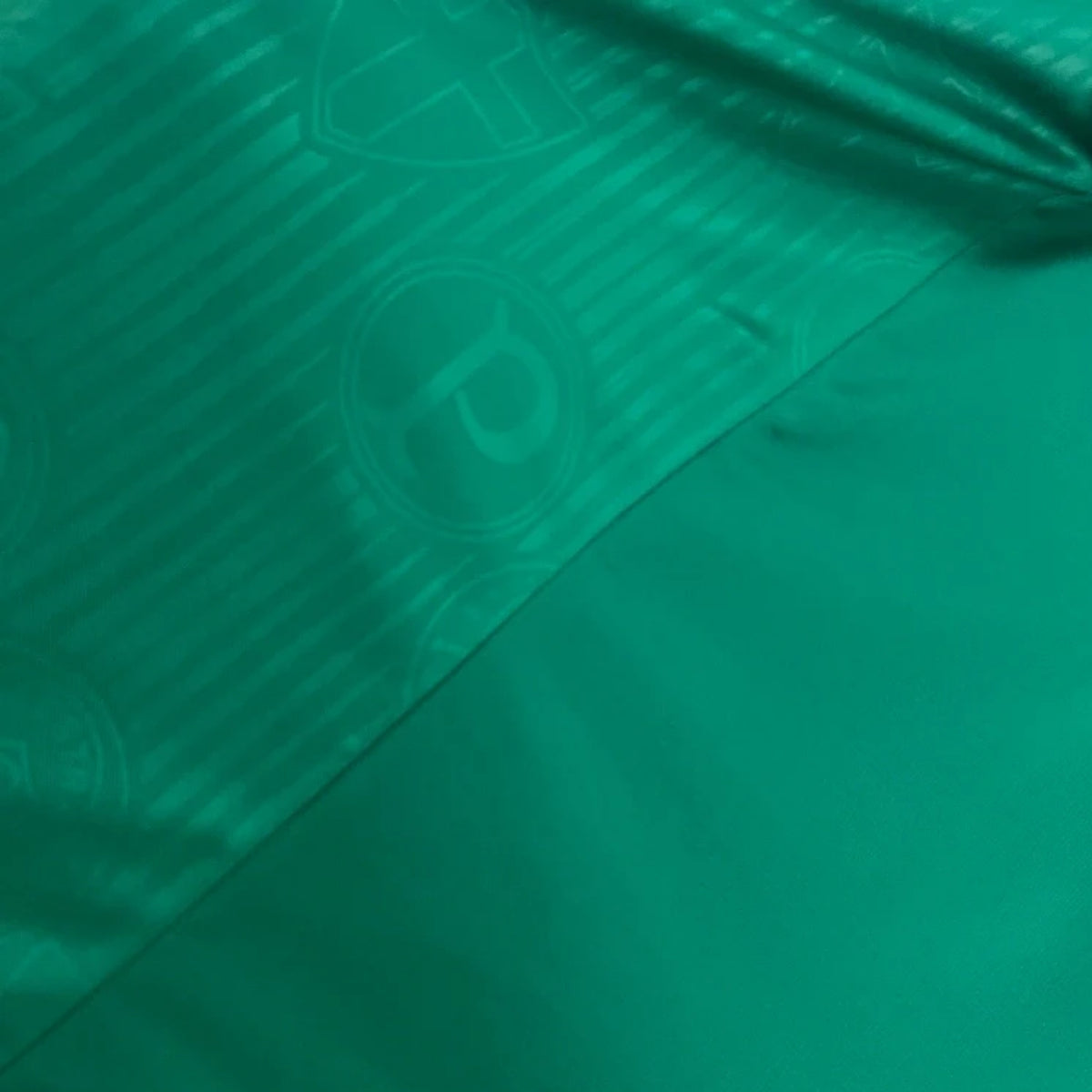 Palmeiras Entraînement 23/24 - Manches Cava - Packaging