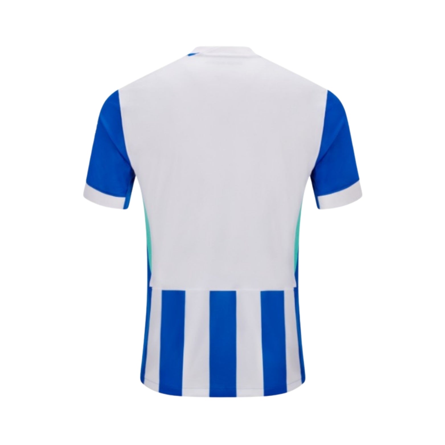 Brighton Domicile 25/26