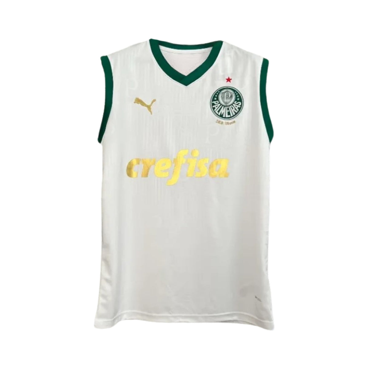 Palmeiras Entraînement 23/24 - Manches Cava - Vue de face