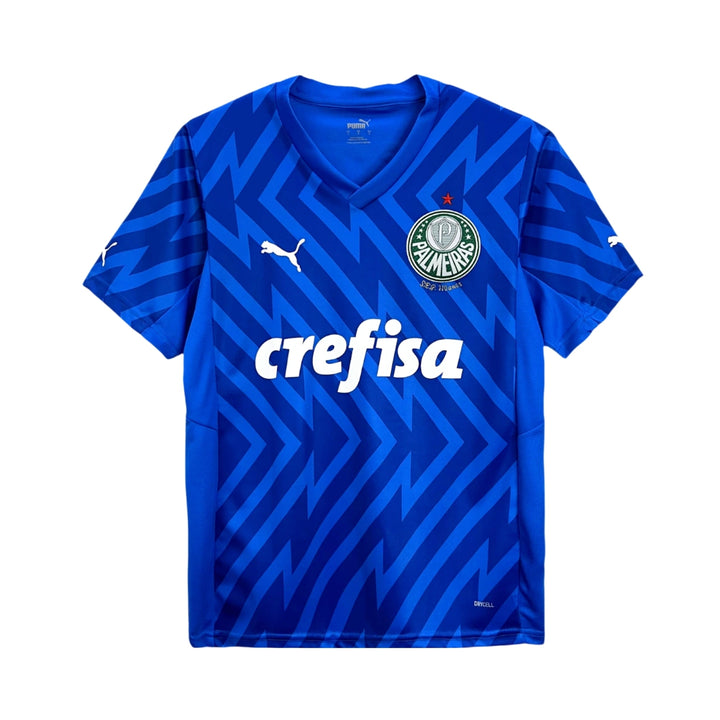 Palmeiras Gardiens de But 24/25 - Bleu