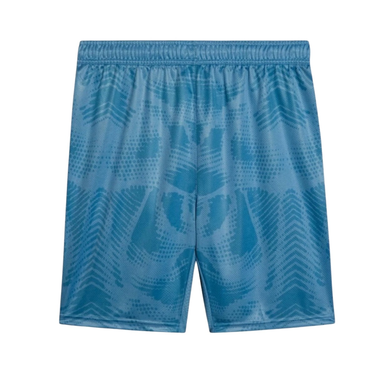Short Palmeiras Gardiens de But 25/26 - Vue de dos