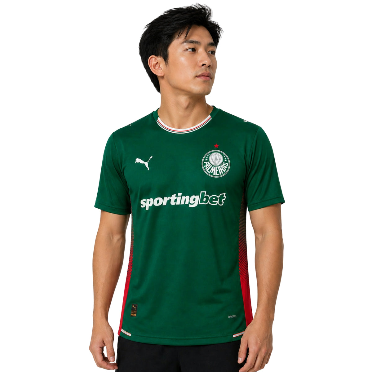Palmeiras Domicile 26/27 - Version Joueur