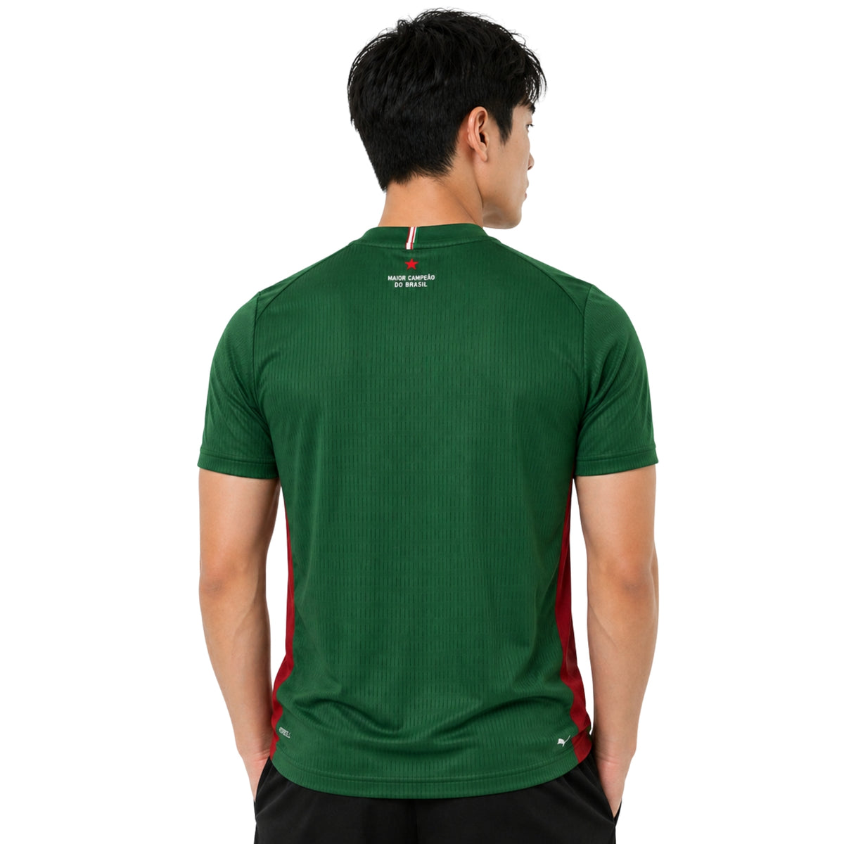 Palmeiras Domicile 26/27 - Version Joueur