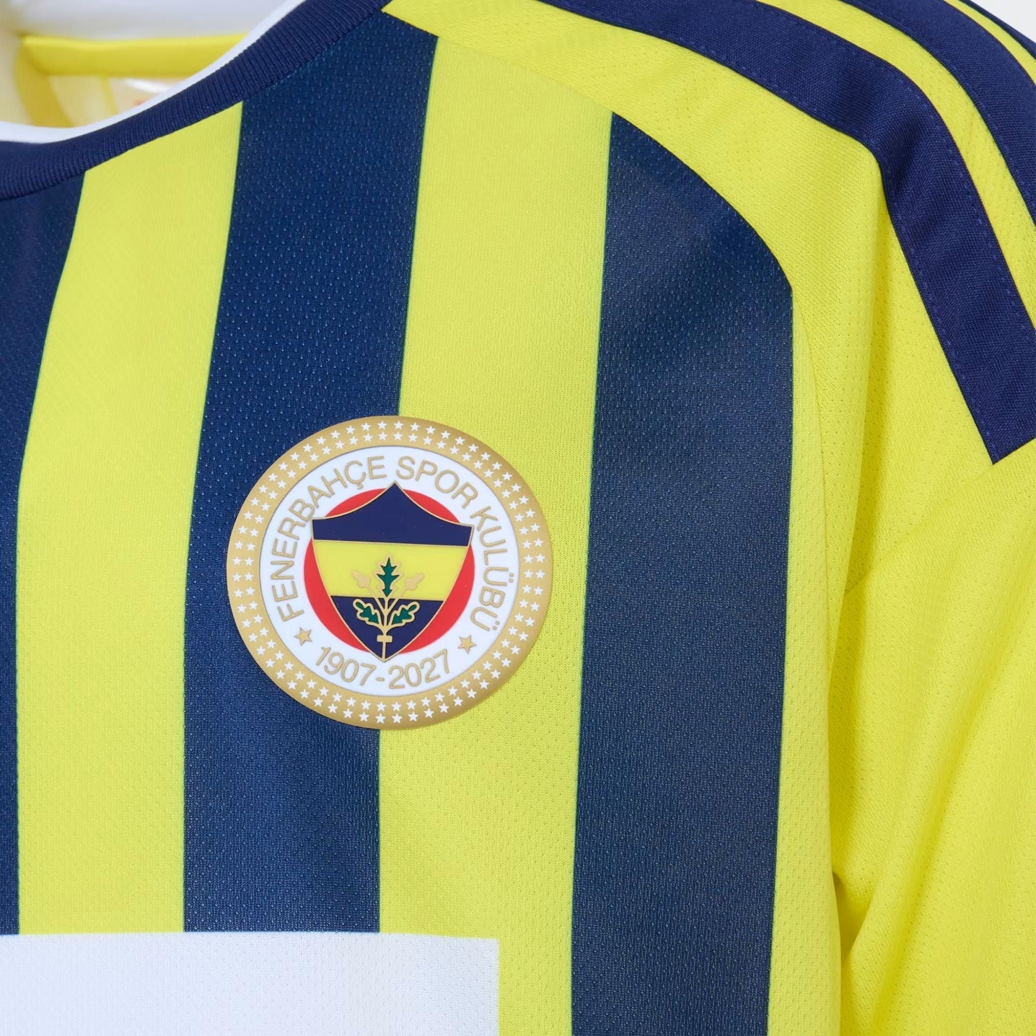 Fenerbahce Domicile 26/27