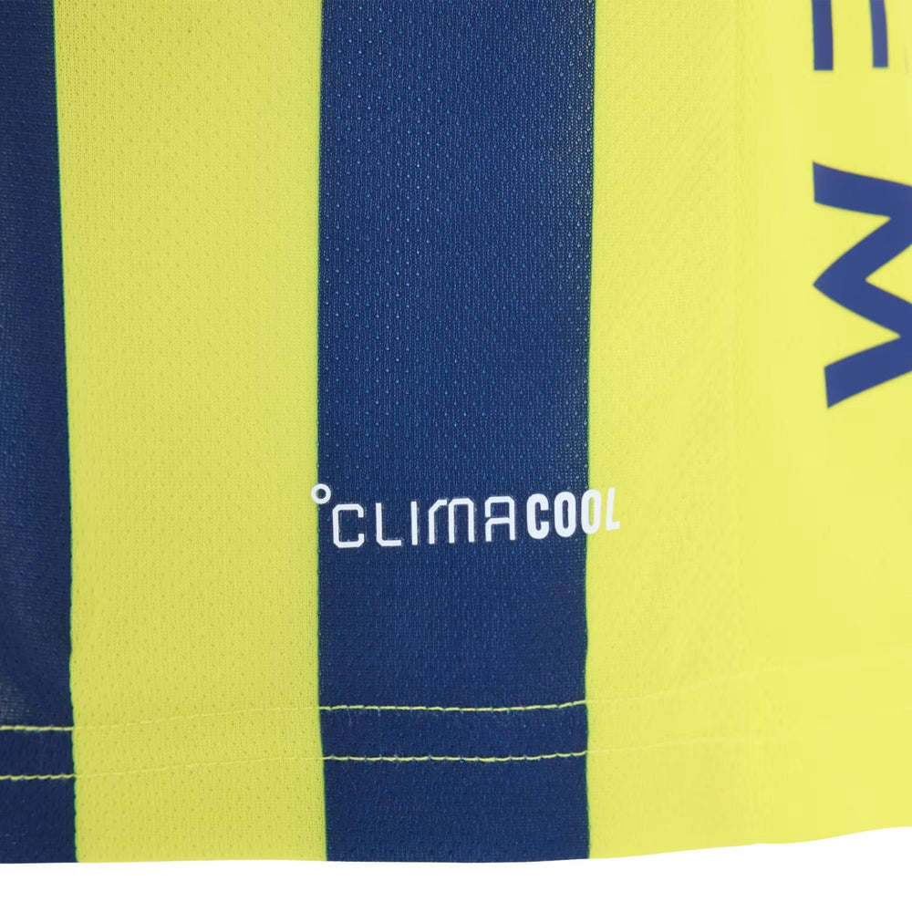 Fenerbahce Domicile 26/27