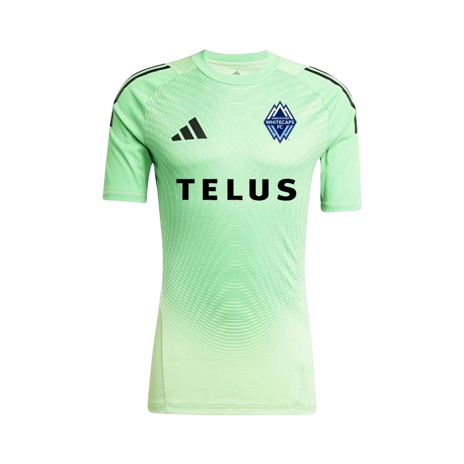 Vancouver Gardiens de But 25/26