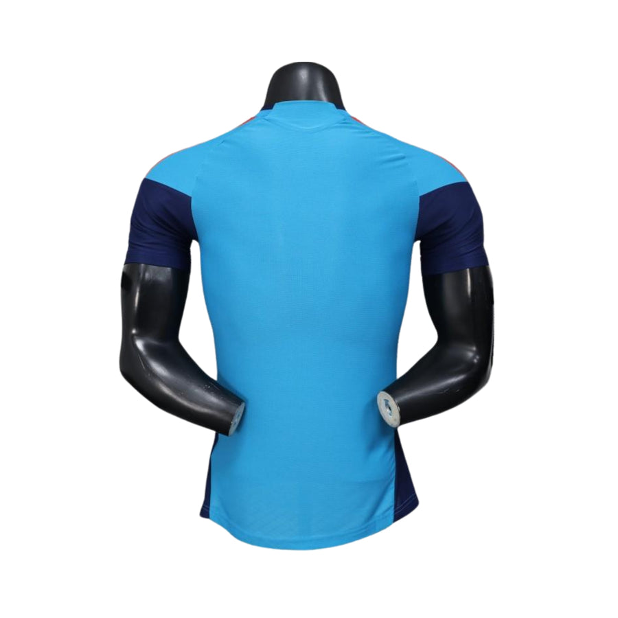 Espagne Entraînement 26/27 - Coupe du Monde 2026 - Version Joueur