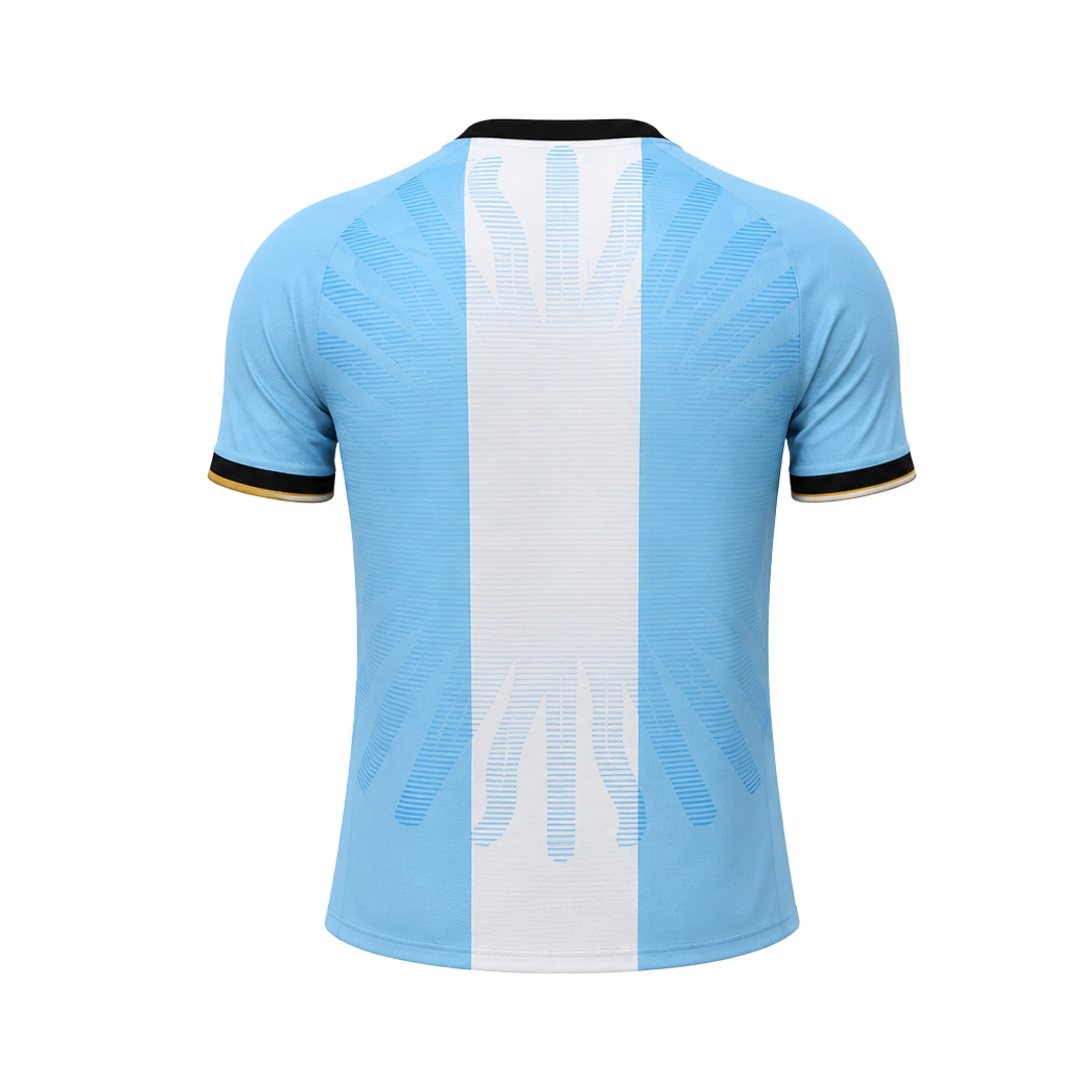 Argentine Édition Spéciale 26/27 - Coupe du Monde 2026 - Version Joueur