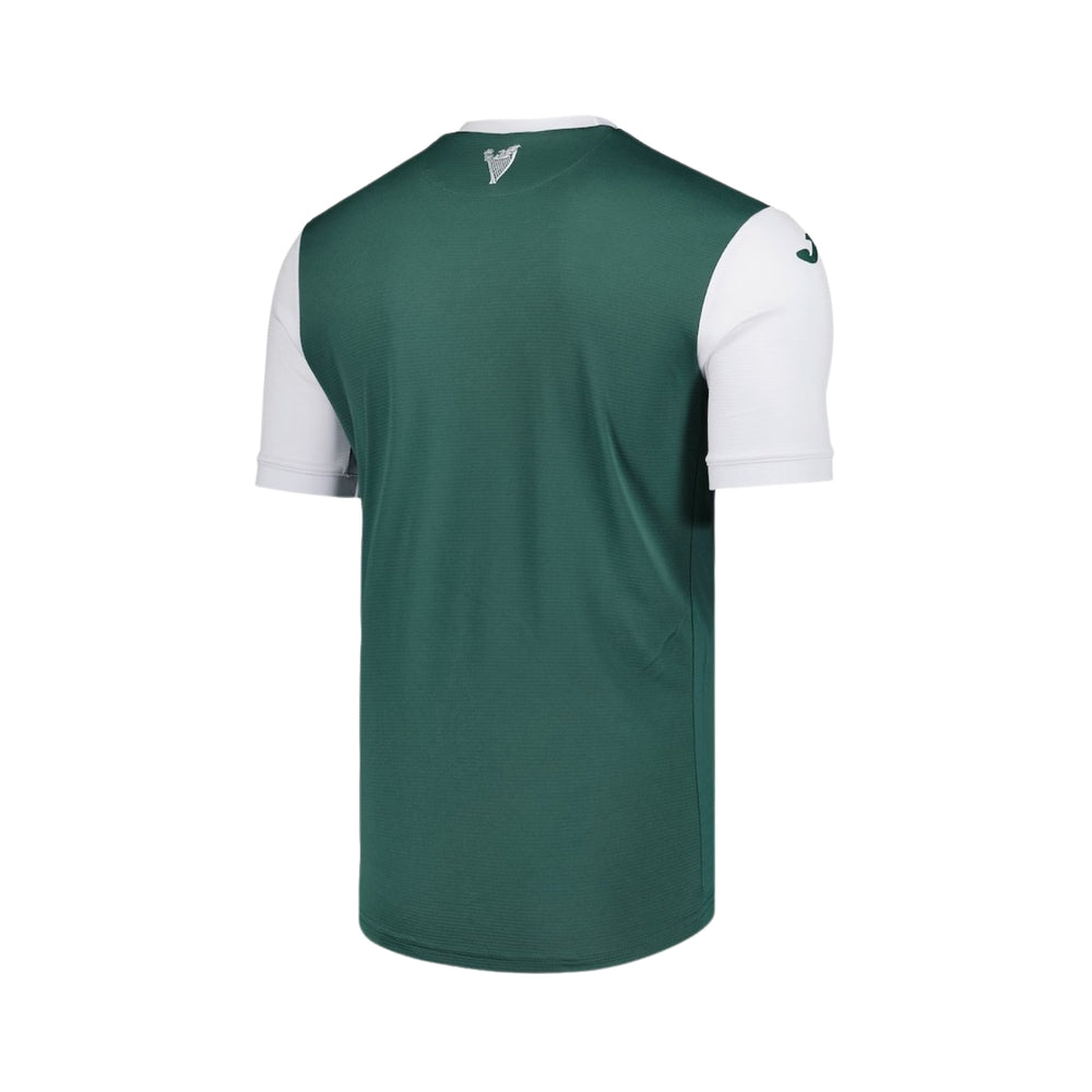 Hibernian Local 25/26