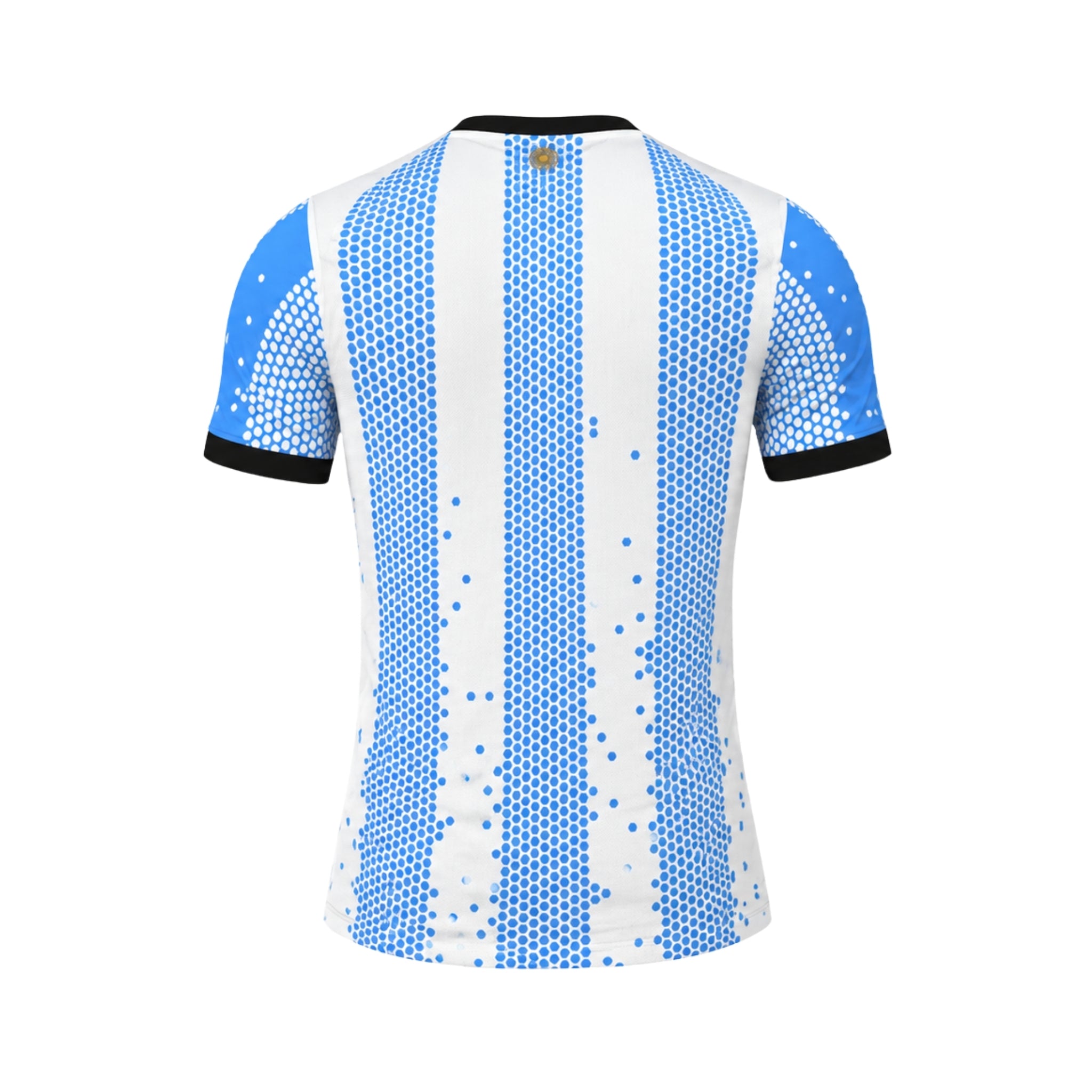 Argentine Édition Spéciale 26/27 - Coupe du Monde 2026 - Version Joueur