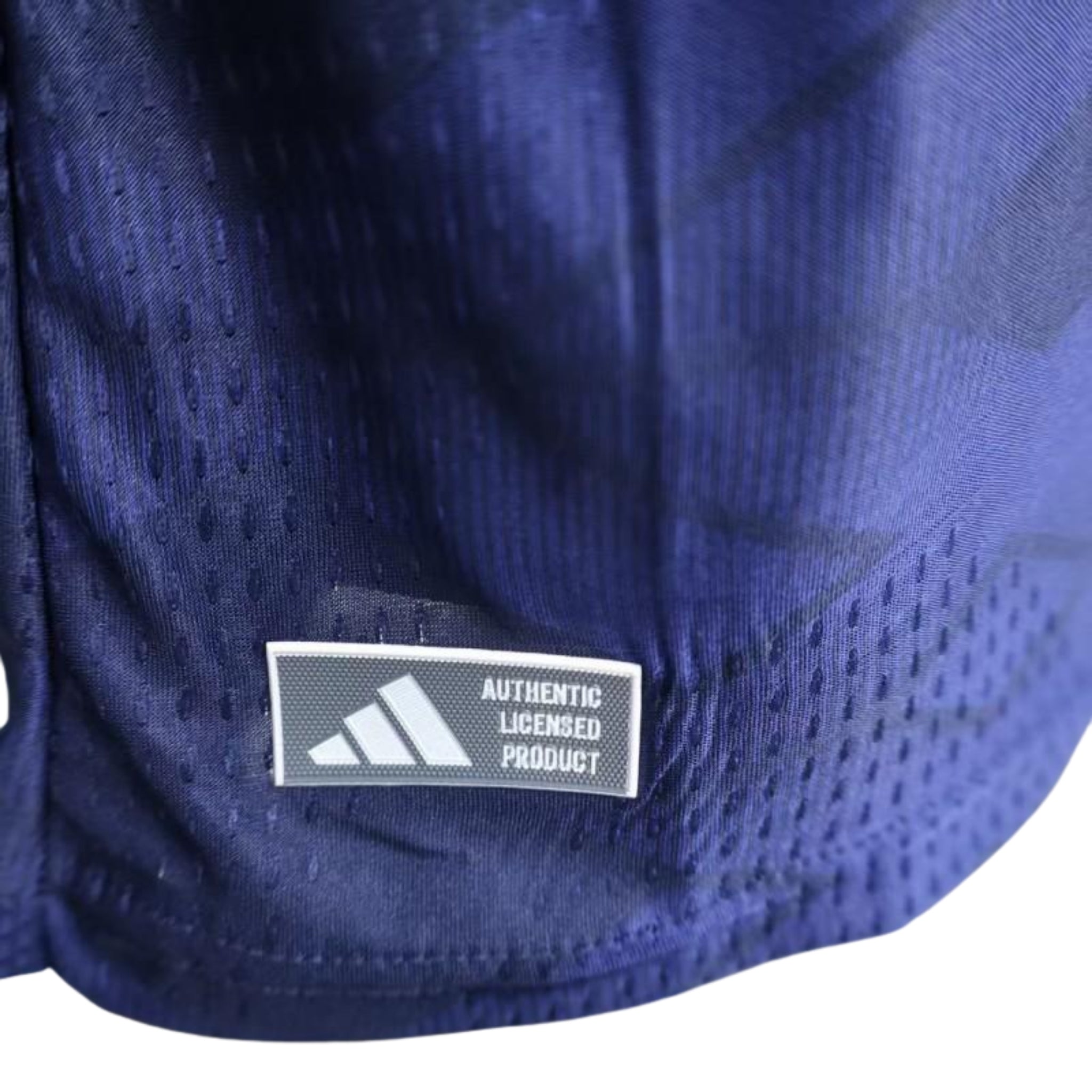 Écosse Domicile 26/27 - Coupe du Monde 2026 - Version Joueur