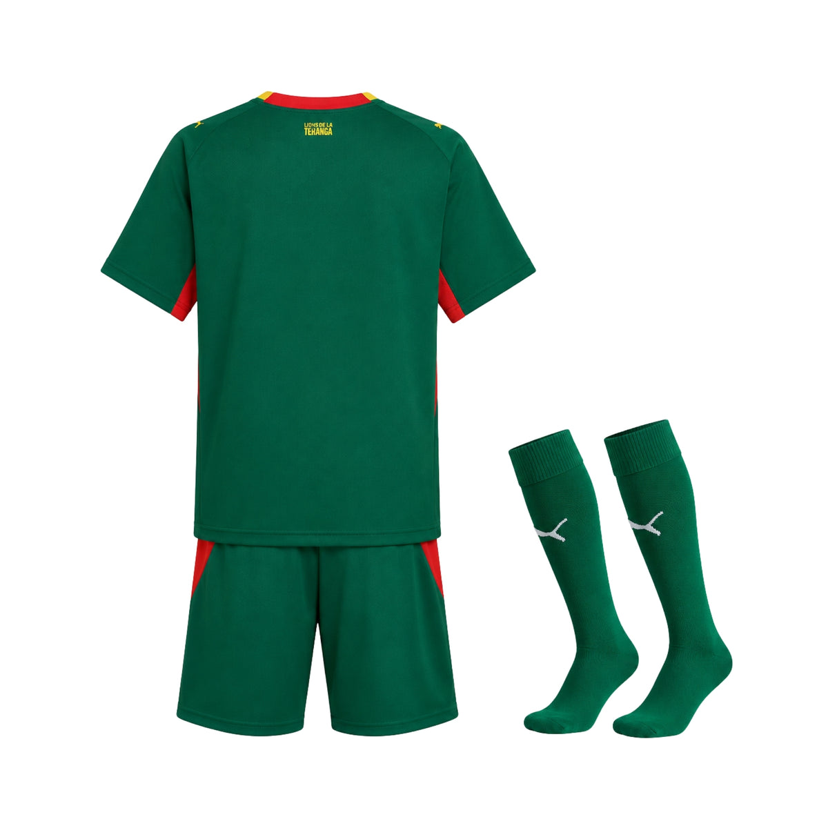 Senegal - Kit Extérieur 26/27 - Coupe du Monde 2026
